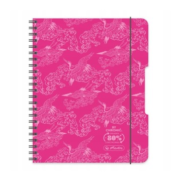 Kołozeszyt HERLITZ ECO PP COLORS B5 80k różowy