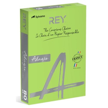 Papier kolor A4 80g REY ADAGIO 16 zielony intens