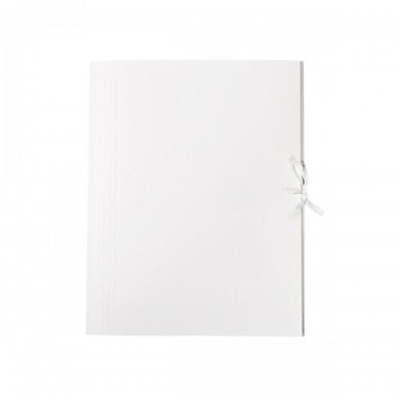 Teczka wiązana tekturowa BB 350g